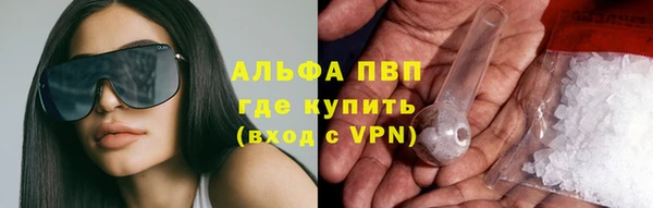 эйфоретик Покачи